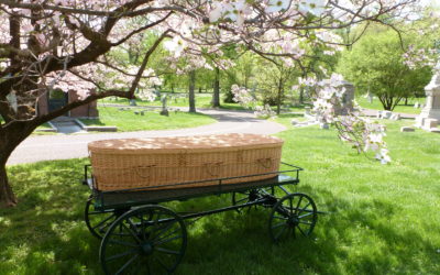Reshaping the $17.8 Billion Funeral Industry